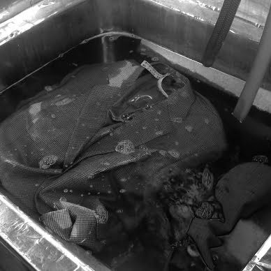 水流バイオの様子